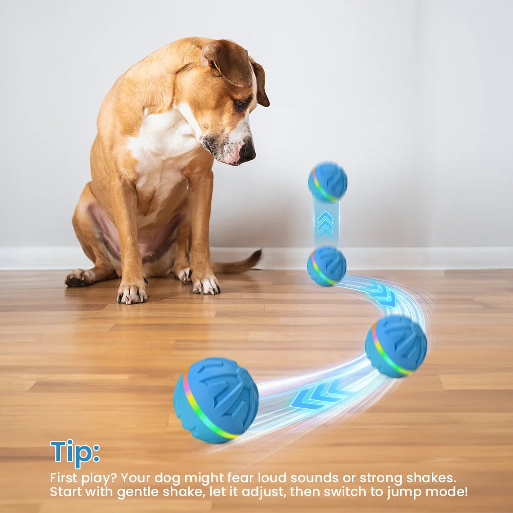 rechargeable dog ball for indoor outdoor play