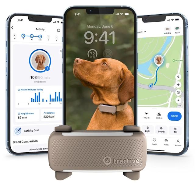 GPS Trackers & Collars
