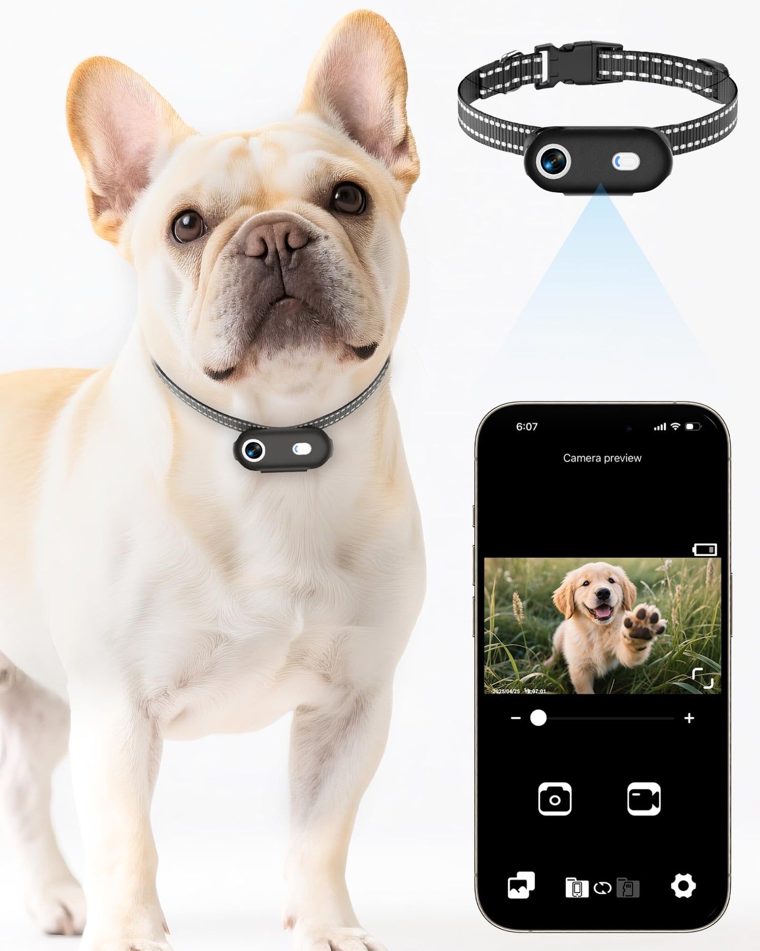 Pet Cameras