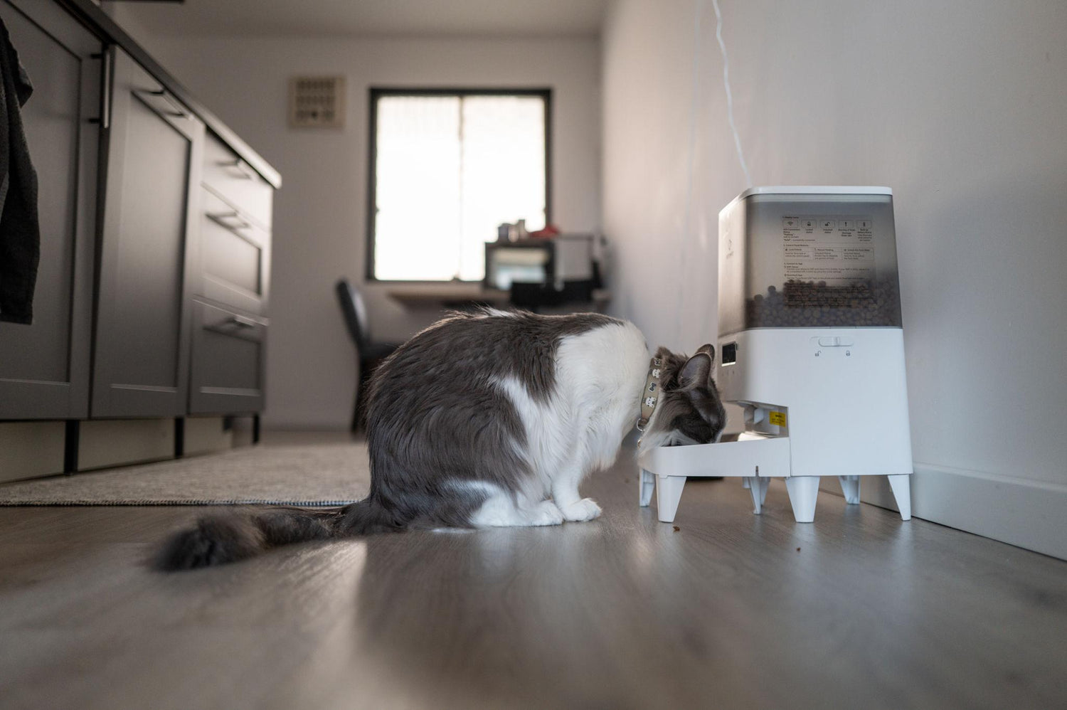 Smart Feeding and Care