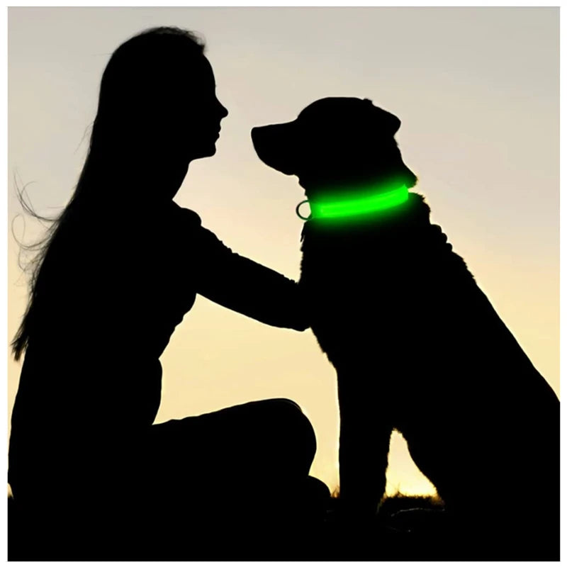 Silhouette of a person and dog with a glowing green collar against a sunset background