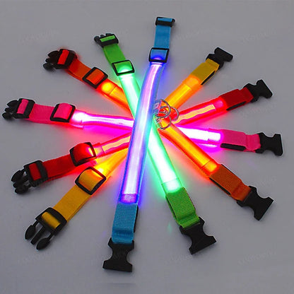 Smart LED Dog Collar – USB Rechargeable, 3 Light Modes, Anti-Lost Night Safety Collar
