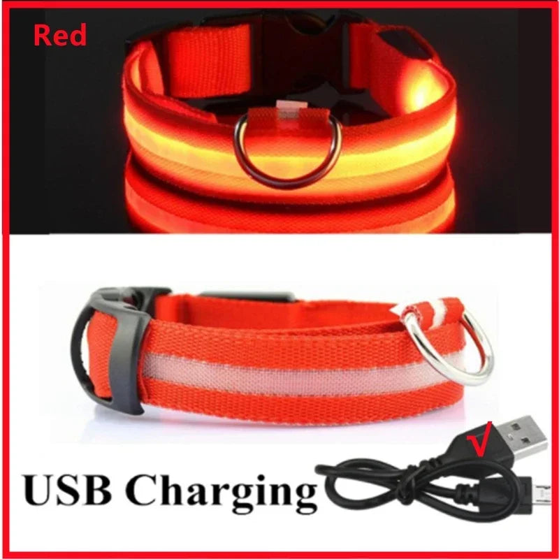 USB Rechargeable LED Dog & Cat Safety Collar – Luminous Flashing Pet Collar for Night Walks