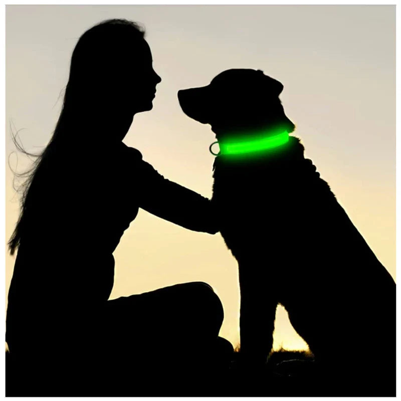 USB Rechargeable LED Dog & Cat Safety Collar – Luminous Flashing Pet Collar for Night Walks