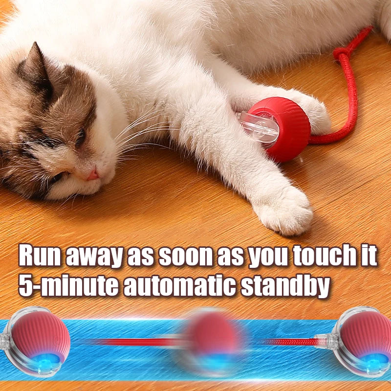Smart Interactive Cat Ball – Automatic Rolling Rechargeable Toy with Tail