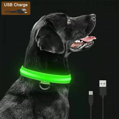Smart LED Dog Collar – USB Rechargeable, 3 Light Modes, Anti-Lost Night Safety Collar