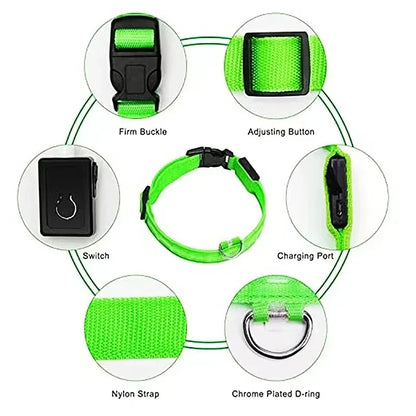 Smart LED Dog Collar – USB Rechargeable, 3 Light Modes, Anti-Lost Night Safety Collar