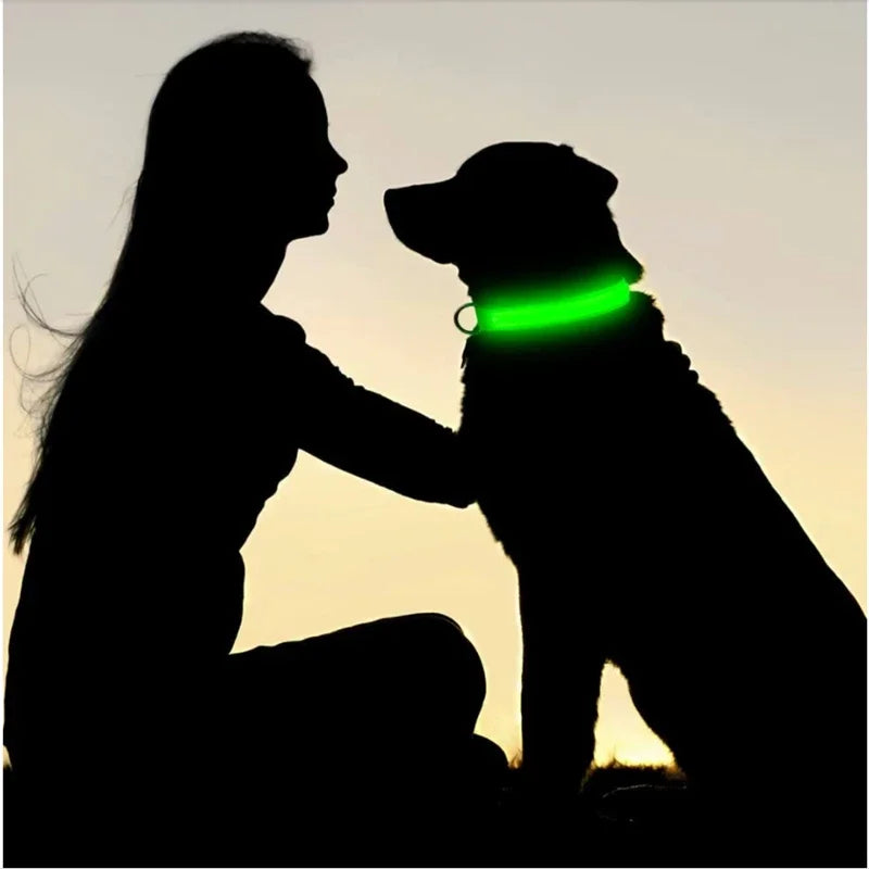 Smart LED Dog Collar – USB Rechargeable, 3 Light Modes, Anti-Lost Night Safety Collar