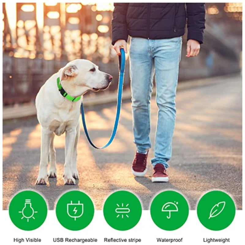 Smart LED Dog Collar – USB Rechargeable, 3 Light Modes, Anti-Lost Night Safety Collar