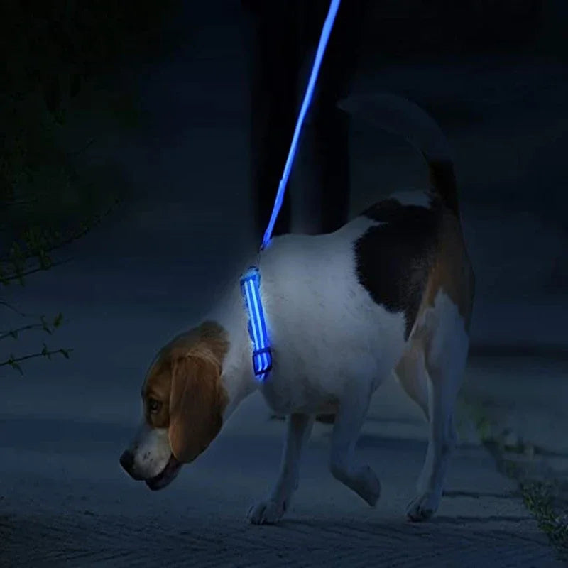 USB Rechargeable LED Dog & Cat Safety Collar – Luminous Flashing Pet Collar for Night Walks