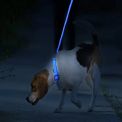 USB Rechargeable LED Dog & Cat Safety Collar – Luminous Flashing Pet Collar for Night Walks