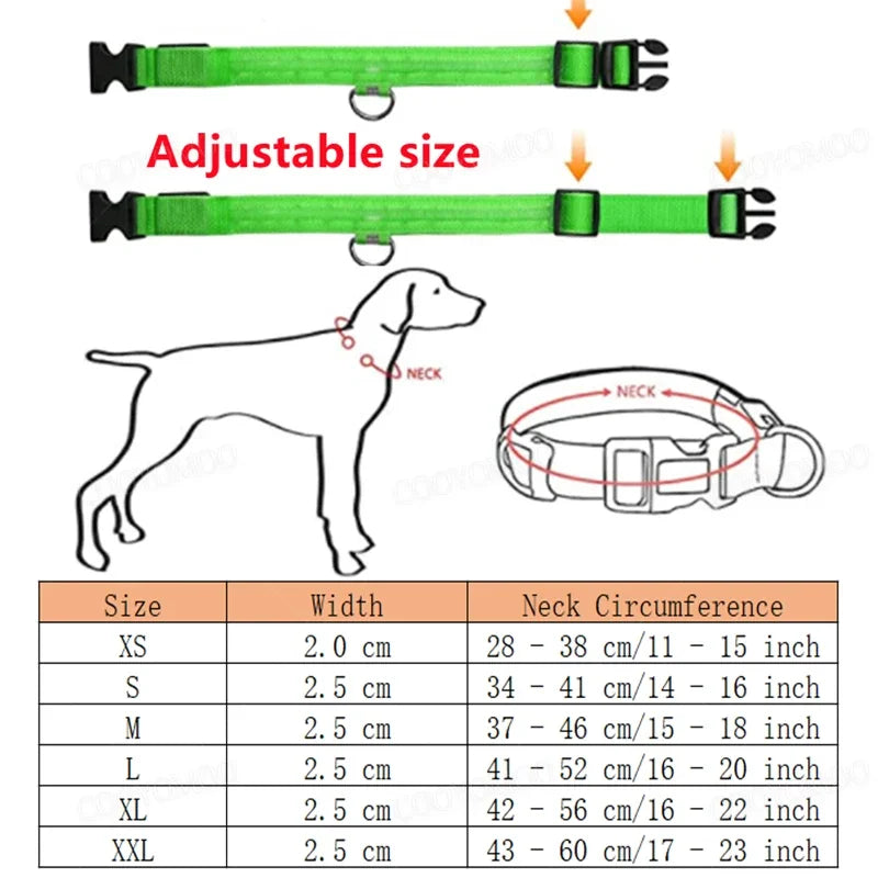 USB Rechargeable LED Dog & Cat Safety Collar – Luminous Flashing Pet Collar for Night Walks