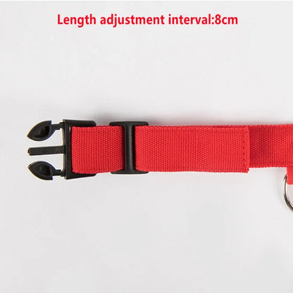 Smart LED Dog Collar – USB Rechargeable, 3 Light Modes, Anti-Lost Night Safety Collar