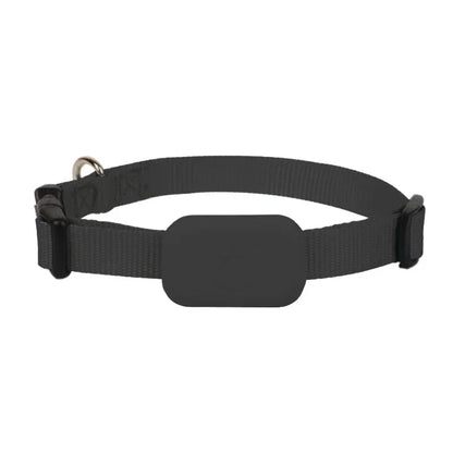 Mini GPS Pet Tracker Collar – Waterproof Anti-Lost Locator for Cats & Puppies