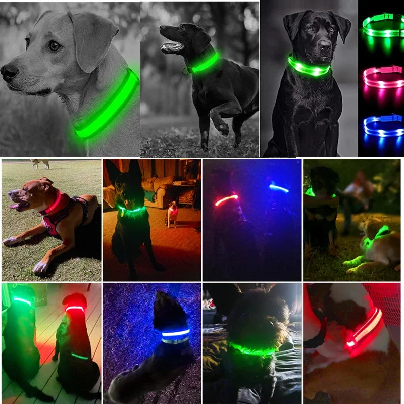 USB Rechargeable LED Dog & Cat Safety Collar – Luminous Flashing Pet Collar for Night Walks