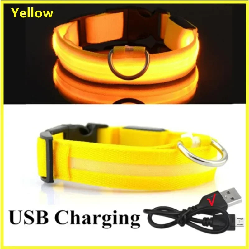 USB Rechargeable LED Dog & Cat Safety Collar – Luminous Flashing Pet Collar for Night Walks