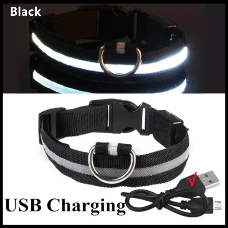 USB Rechargeable LED Dog & Cat Safety Collar – Luminous Flashing Pet Collar for Night Walks
