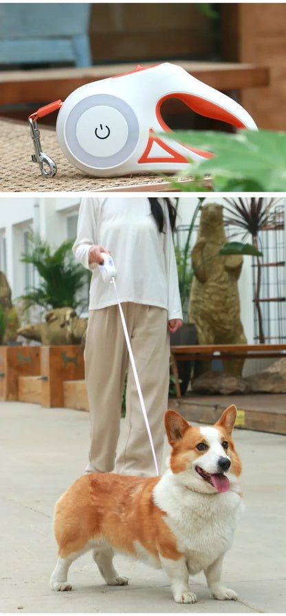 reflective LED retractable dog leash for outdoor walking