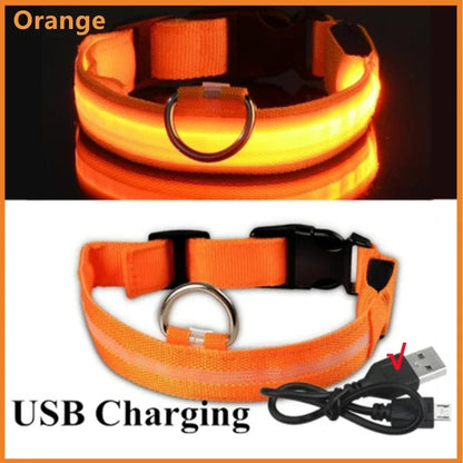 USB Rechargeable LED Dog & Cat Safety Collar – Luminous Flashing Pet Collar for Night Walks