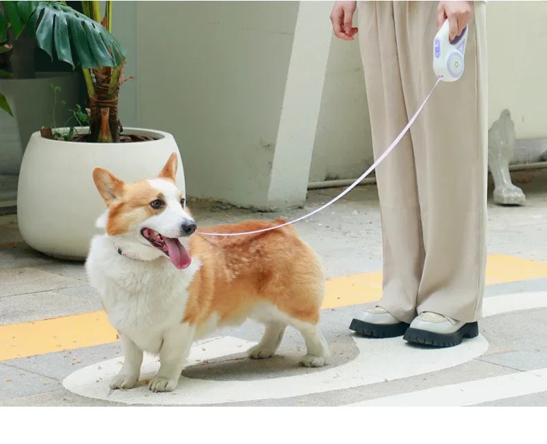 retractable leash with LED light for cats and dogs