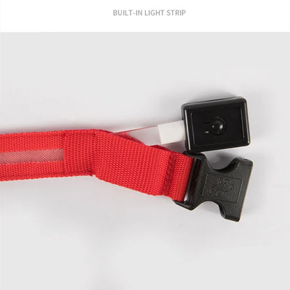 Smart LED Dog Collar – USB Rechargeable, 3 Light Modes, Anti-Lost Night Safety Collar