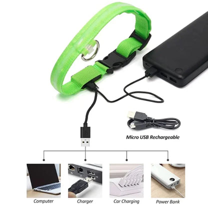 Smart LED Dog Collar – USB Rechargeable, 3 Light Modes, Anti-Lost Night Safety Collar