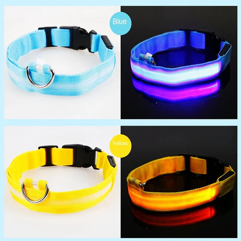 Smart LED Dog Collar – USB Rechargeable, 3 Light Modes, Anti-Lost Night Safety Collar