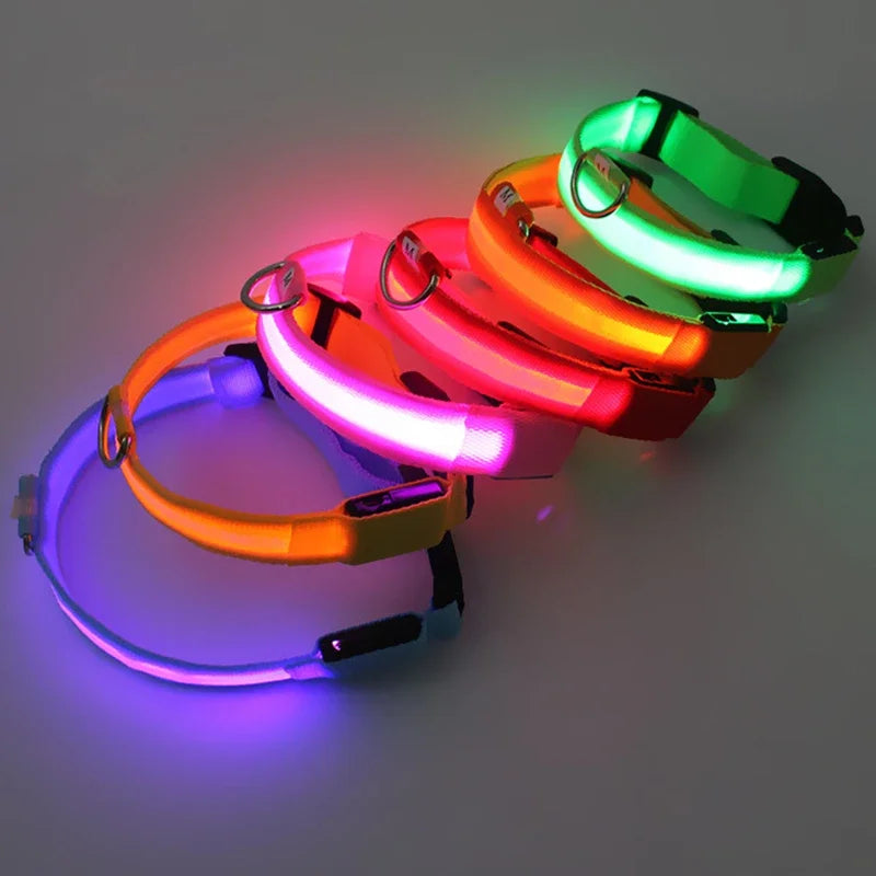 Smart LED Dog Collar – USB Rechargeable, 3 Light Modes, Anti-Lost Night Safety Collar