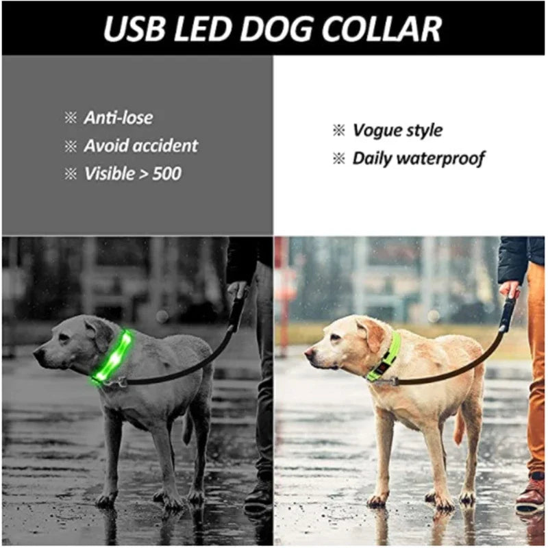 Smart LED Dog Collar – USB Rechargeable, 3 Light Modes, Anti-Lost Night Safety Collar