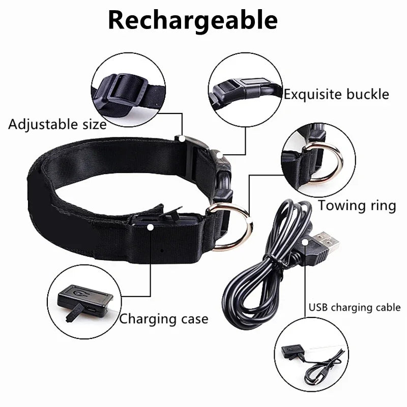 Smart LED Dog Collar – USB Rechargeable, 3 Light Modes, Anti-Lost Night Safety Collar