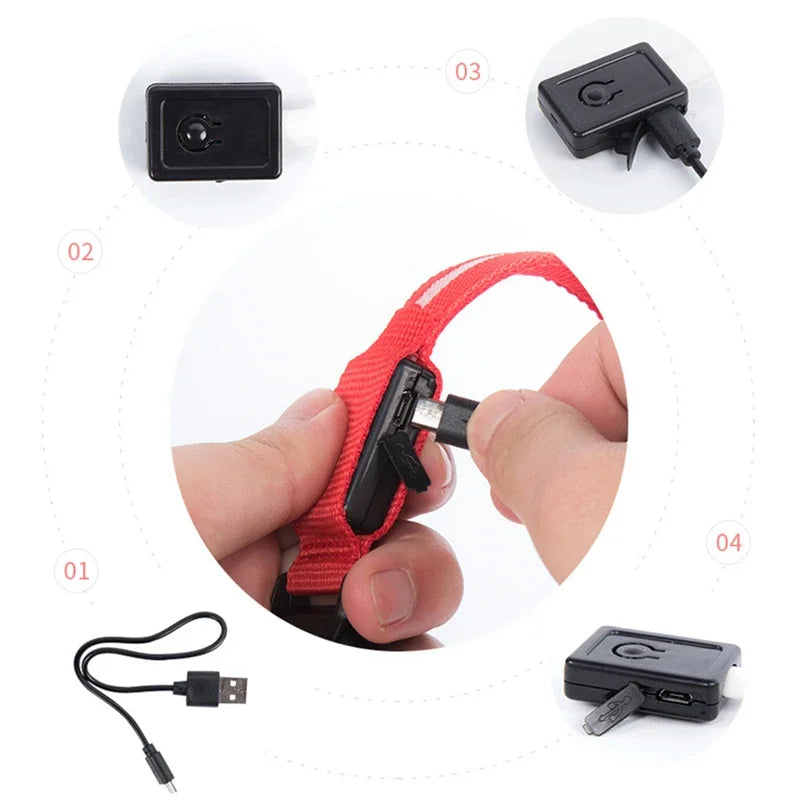 Smart LED Dog Collar – USB Rechargeable, 3 Light Modes, Anti-Lost Night Safety Collar