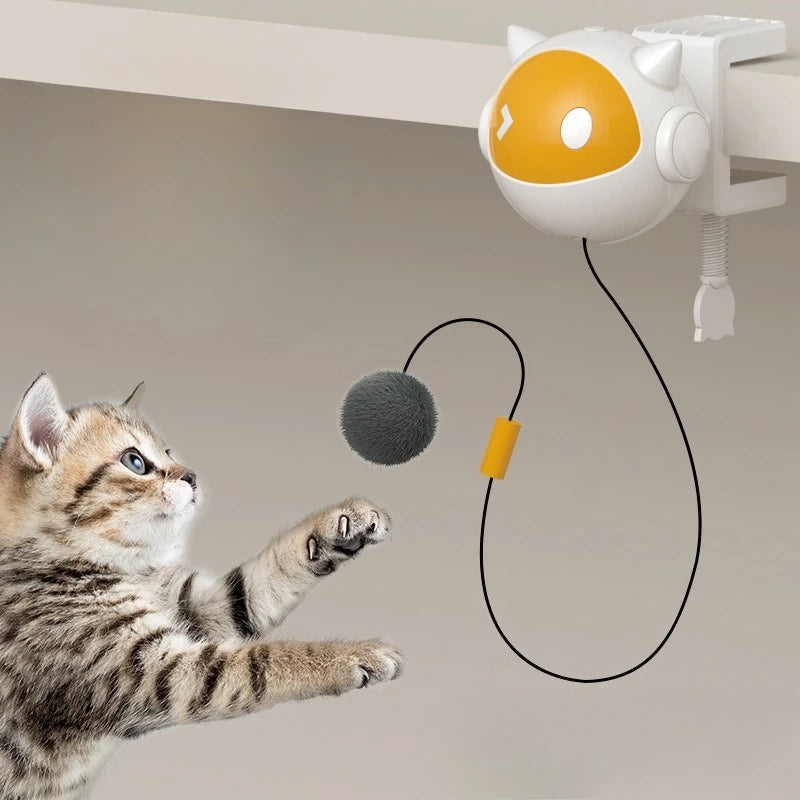 cat chasing toy ball automatic movement