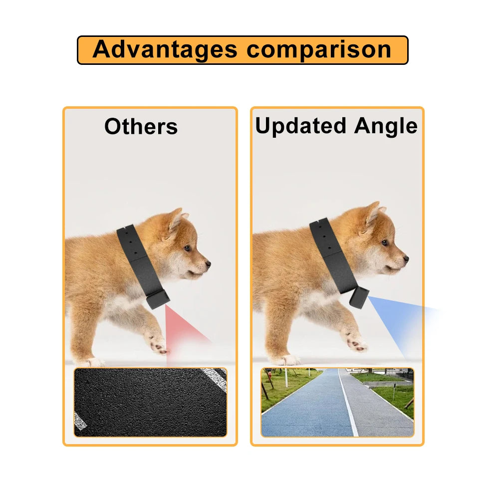 dog wearable action camera no WiFi needed