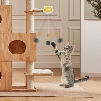 Cat playing with a toy attached to a wooden cat tree in a room.