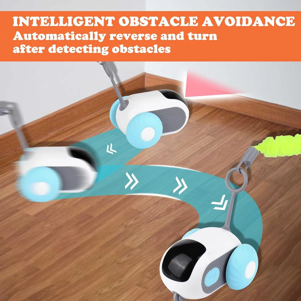 indoor cat exercise toy car