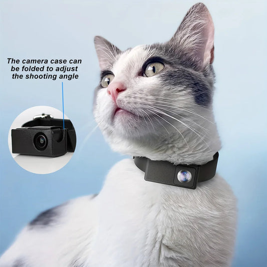 cat collar camera recording outdoor activity