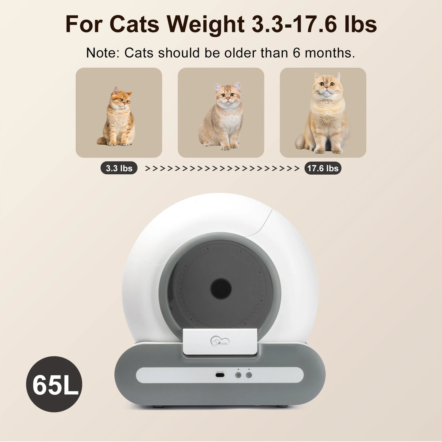self cleaning cat toilet system for modern homes