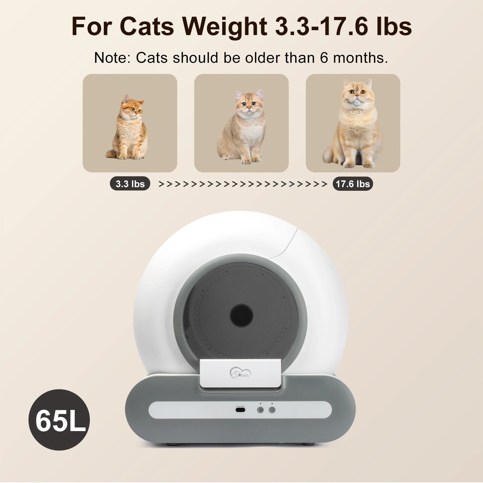 self cleaning cat toilet system for modern homes