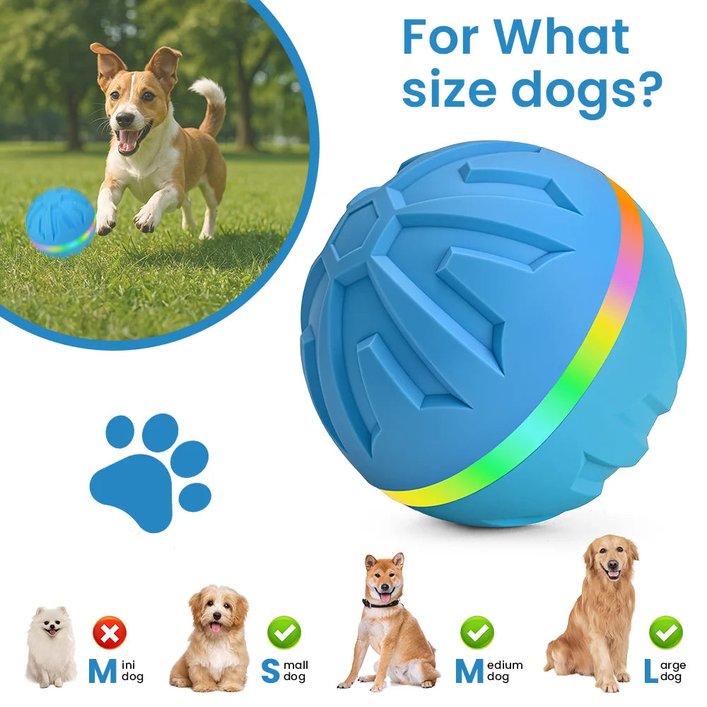 interactive LED dog ball toy with remote control