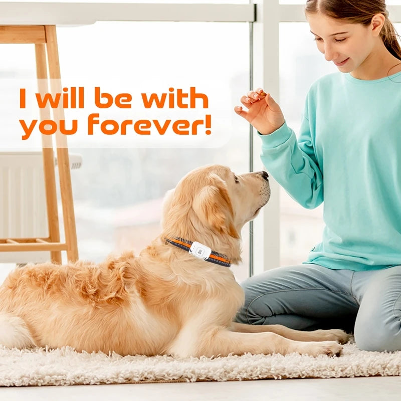 dog safety GPS tracking collar