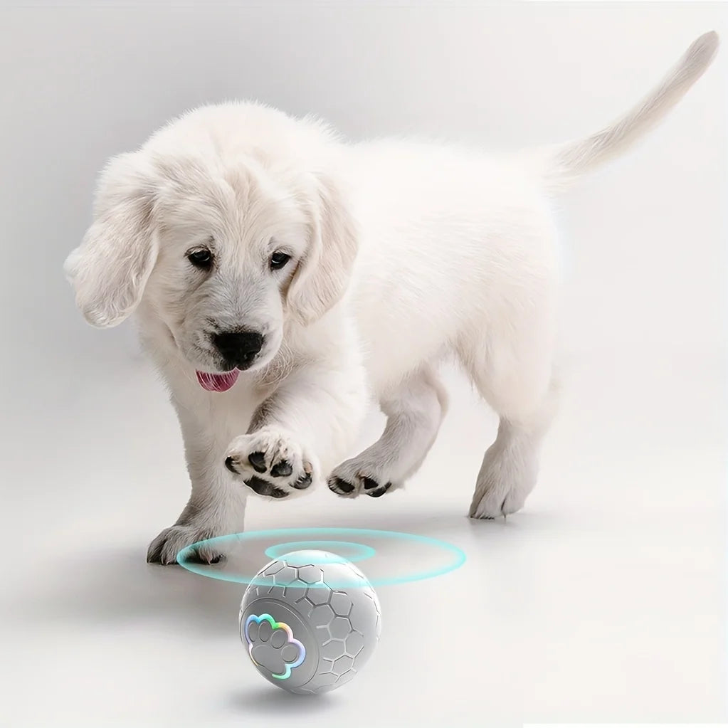 interactive dog toy ball with LED lights