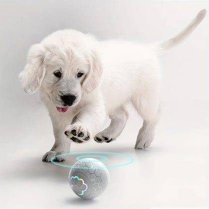 interactive dog toy ball with LED lights