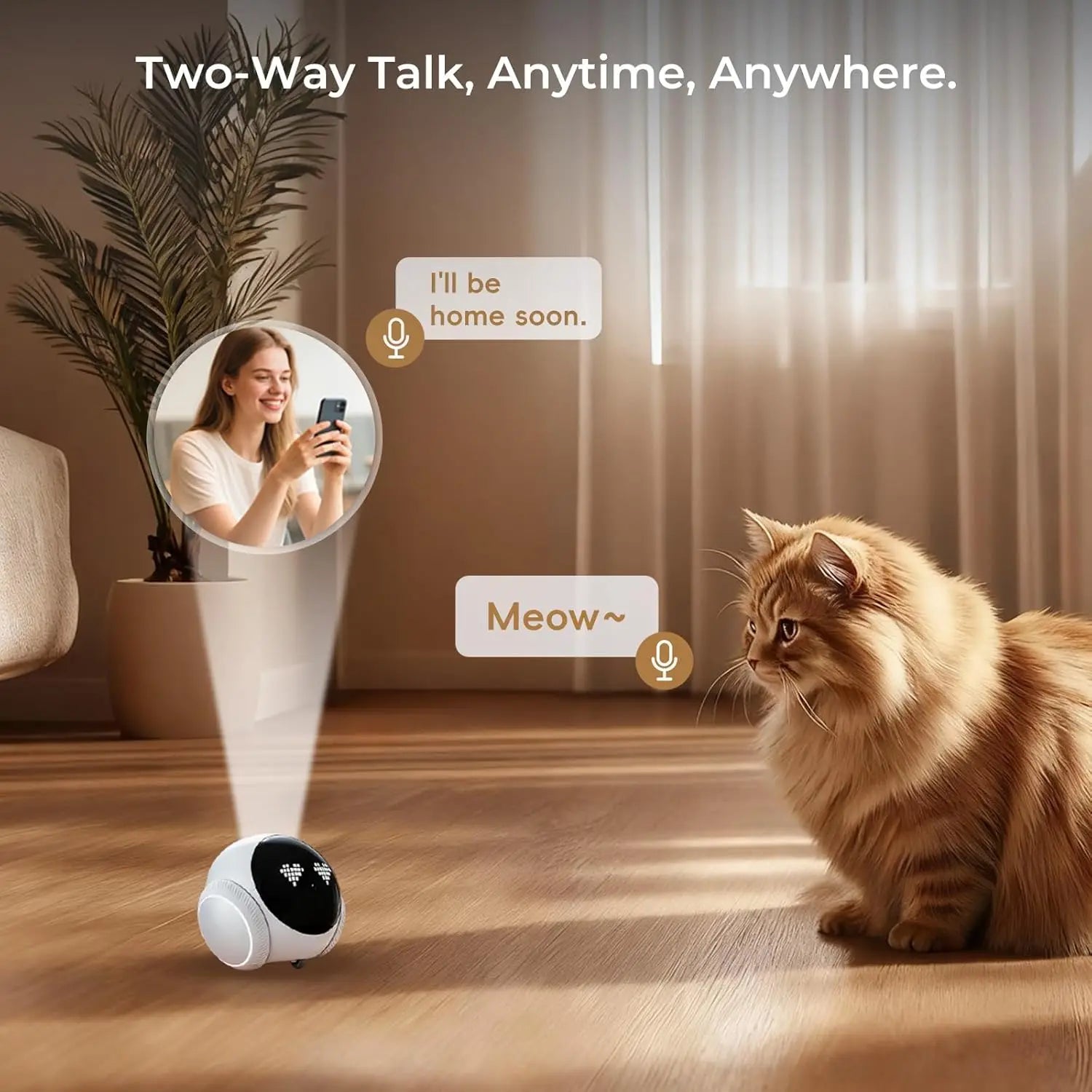 pet camera with two way audio and night vision