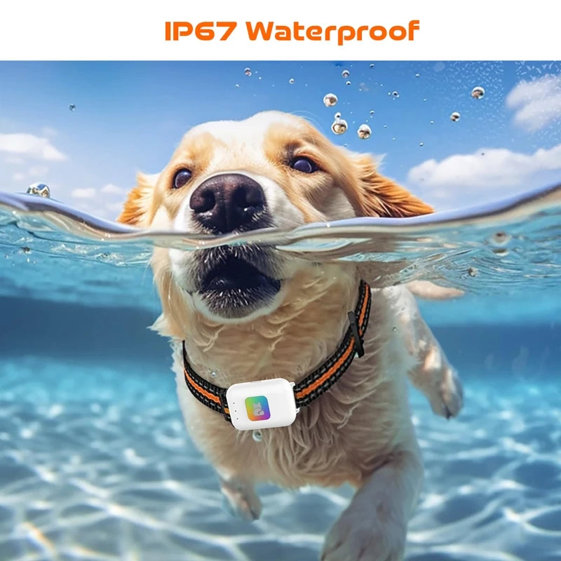 waterproof 4G pet tracker with real time tracking