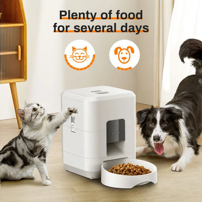 2L cat and dog food dispenser automatic