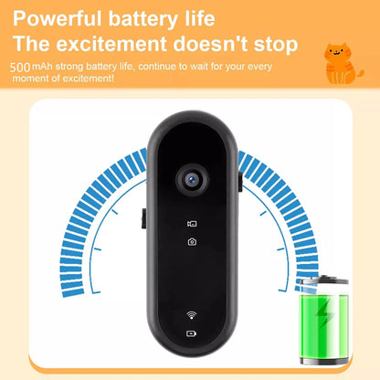 cat collar camera recording outdoor activity